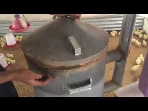 Brooder heating lamp (runs on saw dust) Brooder furnace run on gunpowder.