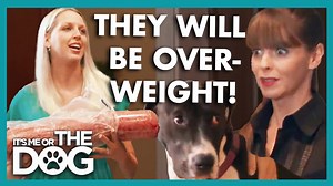 These Great Danes are spoiled with the best quality meat, but they need to be given some more exercise to avoid chaos in the home. Can dog training expert Victoria Stilwell train them to walk... without them running after cars! ▶ Get more dog training tips from Victoria on her official site: https://positively.com ▶To enroll in Victoria’s dog training courses at the Victoria Stilwell Academy: https://www.vsdogtrainingacademy.com | Me Or The Dog
