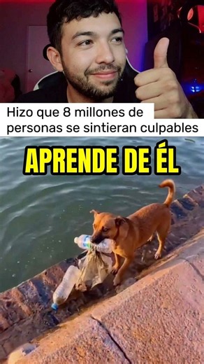 El perrito más educado del mundo te dejará pensando 🧠✨