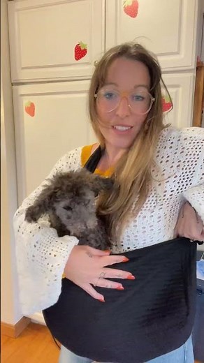 Pawaboo Dog Sling Carrier Review | Ultra-Comfortable Pet Sling for Small Dogs & Cats