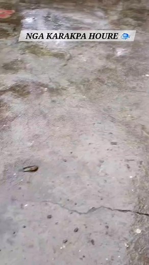 27K views · 116 reactions | HOUJIK WEATHER GI FIBAM | Salai Luwang Vlogs | Facebook