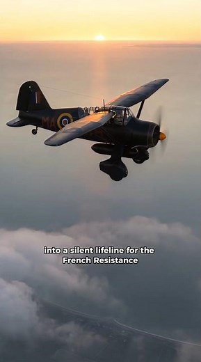 The British Plane That Secretly Landed Behind Nazi Lines