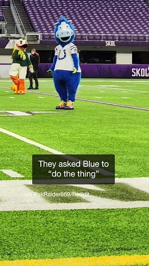 Simply Iconic Colts Mascot: Blue Mascot Fun Dance Compilation