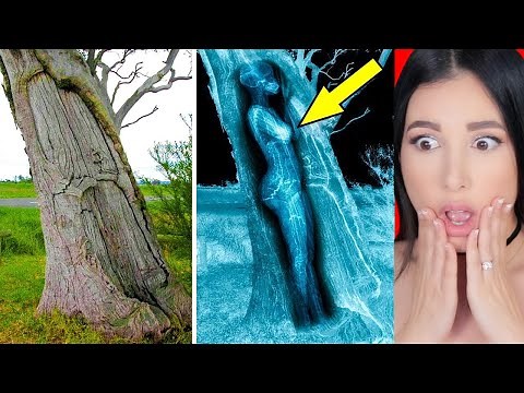 Strange Things Found in Unexpected Places | Mariale
