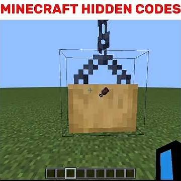 Minecraft HIDDEN Codes You Didn't Know! 😱 #shorts #minecraft