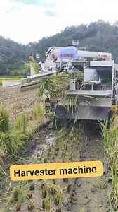 58 reactions · 38 comments | #machine #equipment #harvesttime #farmers #harvester #farmerslife #farmland #agriculture #harvest #agriculturelife #ricefield #viralvideo #fbreelsfypシ゚ #content #reelsvideo #followerseveryone #highlightsシ゚ #galagirljazz | Jazz Umali | Facebook