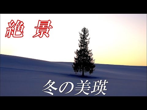 【北海道 美瑛】絶景！冬の美瑛の姿がこれだ！４K