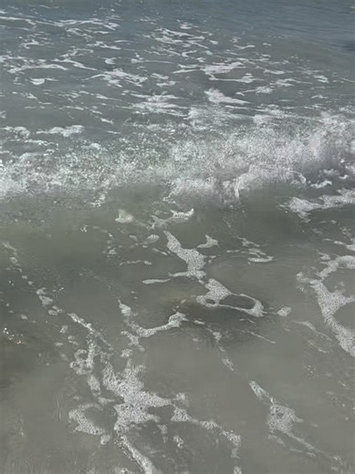 A Day at the Beach: Fun Moments and Rock Discoveries