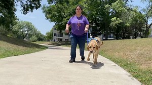 Service dog's kindness leads to national honor