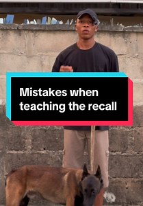 Recall Training Tip: Always Reward Your Dog for Coming