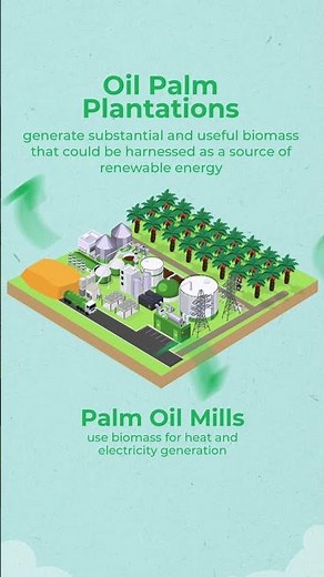 Malaysian Palm Oil- Biomass