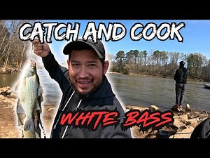 WHITE BASS CATCH AND COOK | WHITE BASS FISHING FROM THE BANK