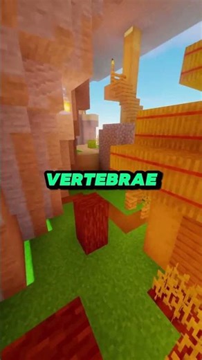 did you know that astronuts.. #facts #shorts #space