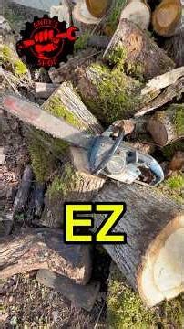 Will it Start? FREE Homelite EZ