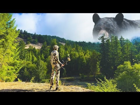 Hunting the Elusive BLACK BEAR in Northern California (3 Day Bow Hunt)