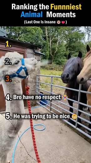 DON’T CHECK THE SOUND 💀💀