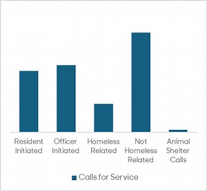 Blue Notebook: SMPD Crime Updates