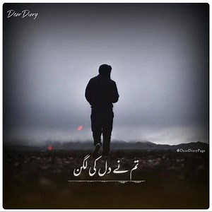 8.4K views · 455 reactions | Dear Diary on Reels | Facebook