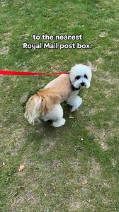 192 reactions · 16 comments | Sending parcels doesn’t need to be a mission. You can send or return from a postbox. It has never been easier. | Royal Mail | Facebook