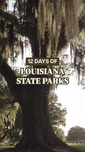 Our 1️⃣2️⃣ Days of Christmas in the Louisiana State Parks! 🌲🥾🔥 We’re packing up for a warm, cozy holiday in a cabin. What about y’all? | Louisiana State Parks