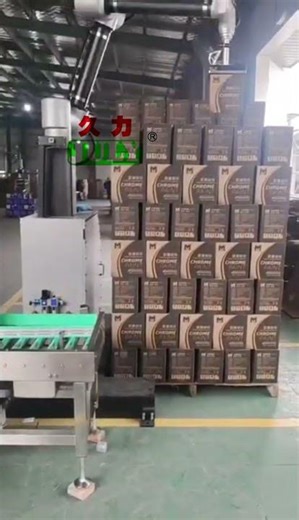 Automatic Palletizer for Food Production Lines | High-Speed Stacking Solutions #packagingmachine