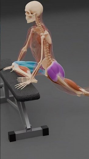 Deep Bench Stretch for Hips and Lower Back #anatomy