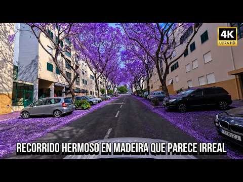 CONDUCIENDO POR MADEIRA 4K 🇵🇹 De Nazaré a Praia Formosa (Ruta Real)
