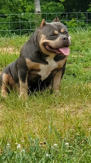 Winston Allen on Reels