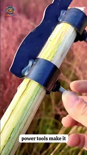 Tree Branch Cutting Process — The Right Tools Make Work Easy 🌳⚙️