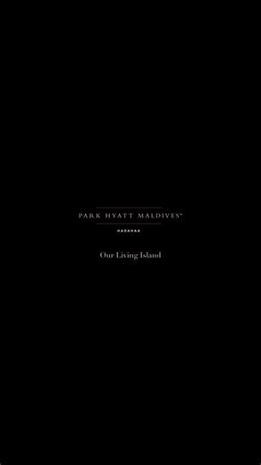 2.3K views · 59 reactions | Turtle Quest: One Breath, Endless...