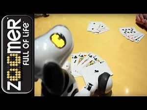 Zoomer | Secret Trick | Vegas baby