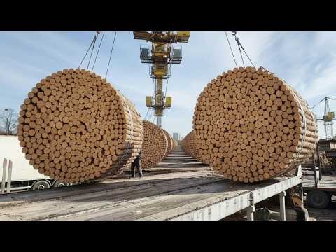 EXTREME Scale Of Wood Chips Production Line.