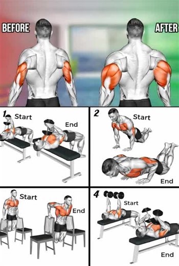 Effective Shoulder Workouts for Optimal Bodybuilding