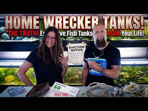 Fish Tanks Can Wreck Your Home Life!