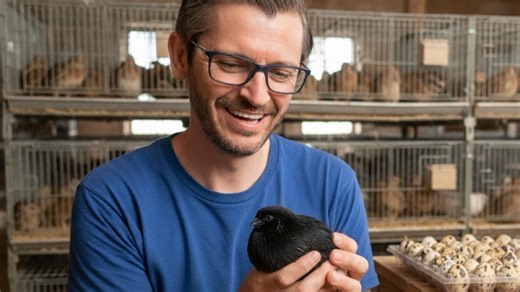 Watch Quail Hatching Season news and Premium Pet treats on Amazon Live