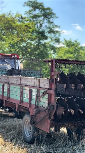 Exploring Agricultural Development in Poland