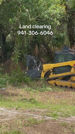Land clearing #landclearing #stumpgrinding #treeservice