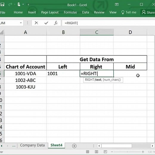 Left Right & Mid Functions in Excel