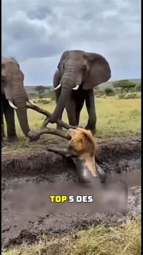 5 Animaux Disparus que les Scientifiques Veulent Ramener 😱🧬 #shorts