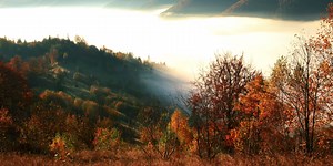 Загадочные и редкие. 15 украинских фамилий: узнайте, есть ли ваша в списке