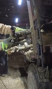 50K views · 221 reactions | Smooth Hoof Trim - No Edits | Steve Wunderlich Hoof Care | Facebook