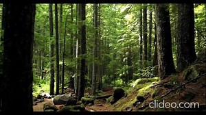 Domo Genesis X Evidence - CLOCKING2U (VIDEO)