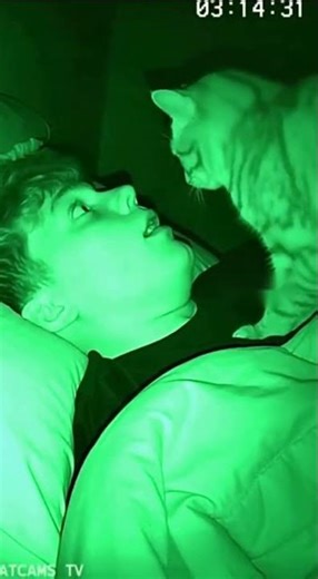 Cat Detects Sleep Apnea: Night Vision Rescue 🐾