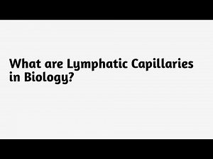 What are Lymphatic Capillaries in Biology ?