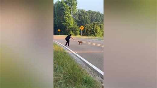 Sisters save small dog abandoned on roadside and provide new home