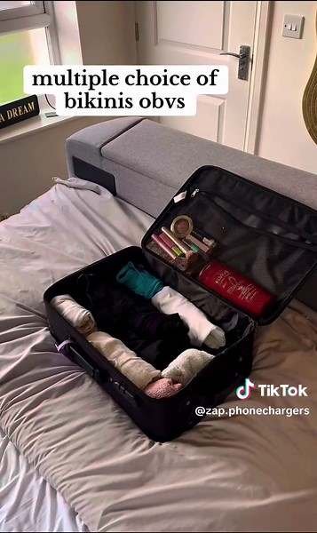 Pack for Holiday with Zap Phone Chargers