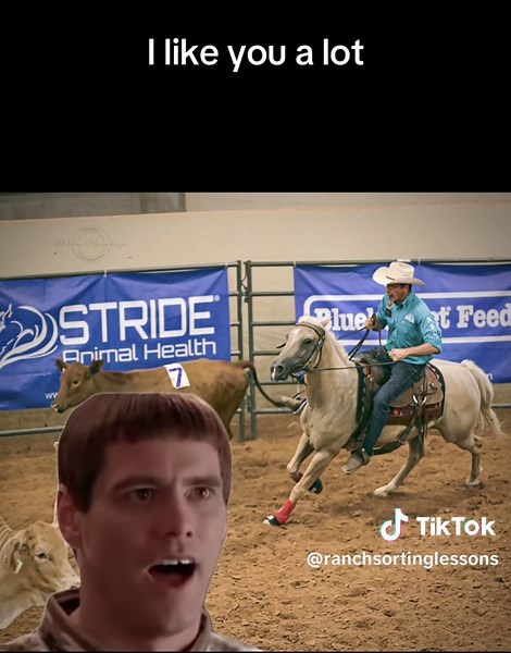 Its the most exciting part of any @RanchSortingofAmerica show, is when I win with one of my students! Horse shows are always fun, but winning with a student, especially on a horse you’ve been training, thats a special moment! #ranchsorting #horselessons #ranchsortinglife #horsetrainer #horselessons #horsetrainer #barrelracer #teameoping #horsebackridinglessons #rsoa