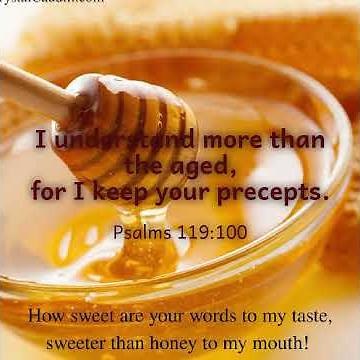 Psalm 119:97-104