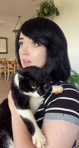 Lady with the Bendy Face Reacts to Angry Cat