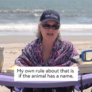 Some people are bothered by the use of “that” instead of “who” when the relative pronoun refers to a person, not a thing. What about the beasties? Is there grammar for cats? Watch the full video here: http://nyer.cm/9Cktjfo | The New Yorker